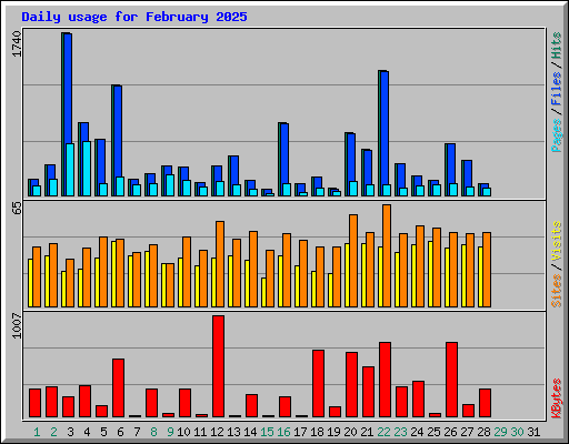 Daily usage for February 2025