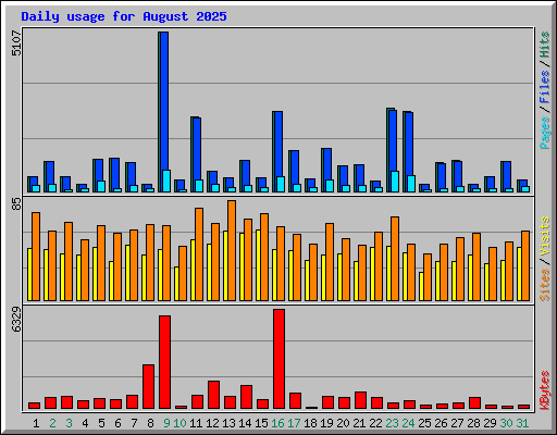 Daily usage for August 2025