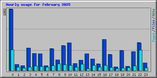 Hourly usage for February 2025