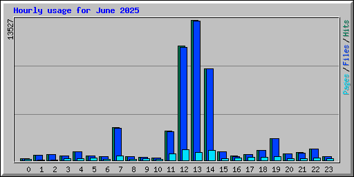 Hourly usage for June 2025