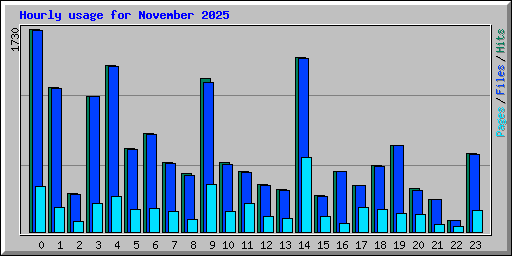 Hourly usage for November 2025