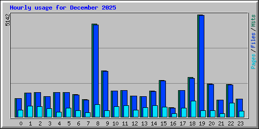 Hourly usage for December 2025