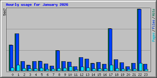 Hourly usage for January 2026