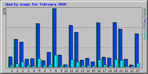 Hourly usage for February 2026